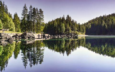 土壤pH值以5-5为宜