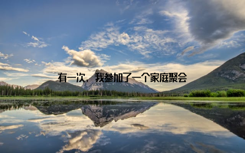 有一次, 我参加了一个家庭聚会