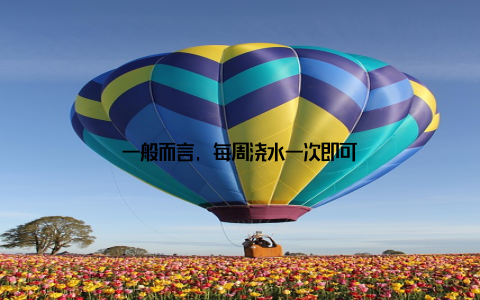 一般而言, 每周浇水一次即可