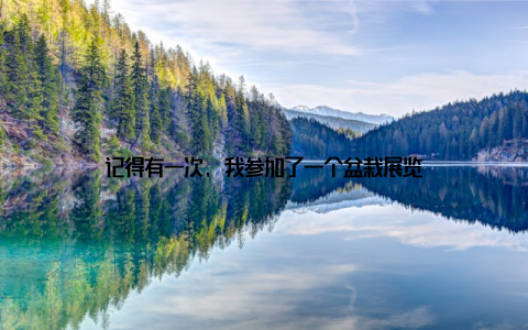 记得有一次, 我参加了一个盆栽展览