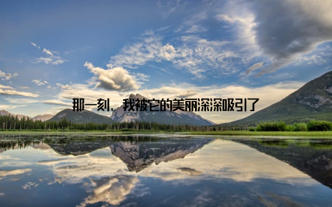 那一刻, 我被它的美丽深深吸引了