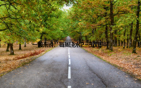 一般来说, 每周浇水2-3次即可