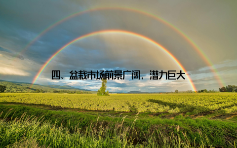 四、盆栽市场前景广阔, 潜力巨大
