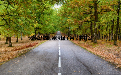 我给盆栽睡莲选择了合适的花盆