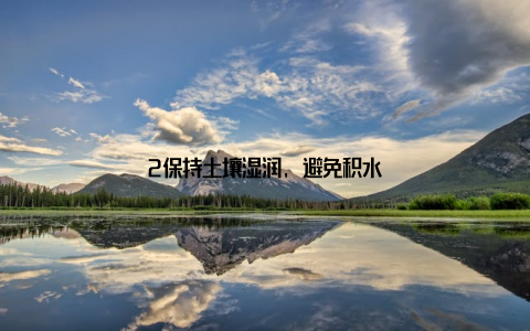 2保持土壤湿润, 避免积水