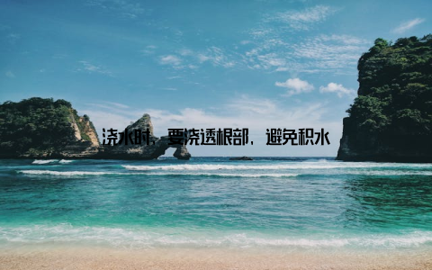 浇水时, 要浇透根部, 避免积水