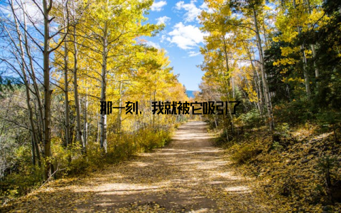 那一刻, 我就被它吸引了