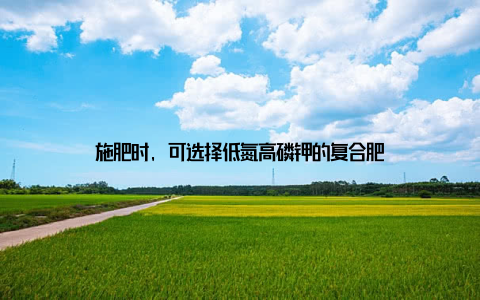 施肥时, 可选择低氮高磷钾的复合肥