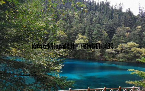 修剪定期修剪枝叶, 保持树形美观