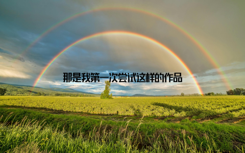那是我第一次尝试这样的作品
