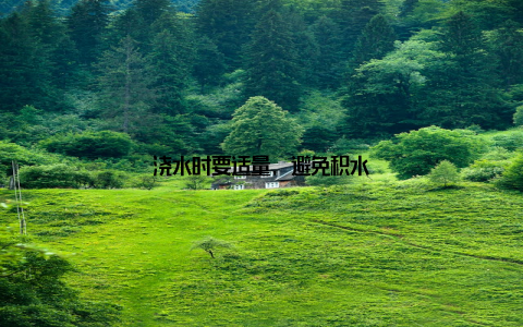 浇水时要适量, 避免积水