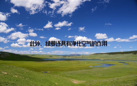 此外, 绿萝还具有净化空气的作用