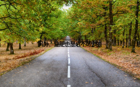 另外, 施肥也是必不可少的