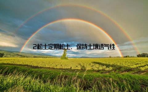 2松土定期松土, 保持土壤透气性