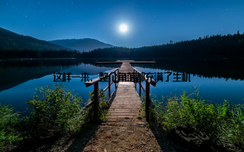 这样一来, 整个角落都充满了生机