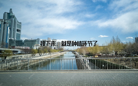 接下来, 就是种植环节了