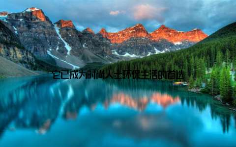 它已成为时尚人士环保生活的首选