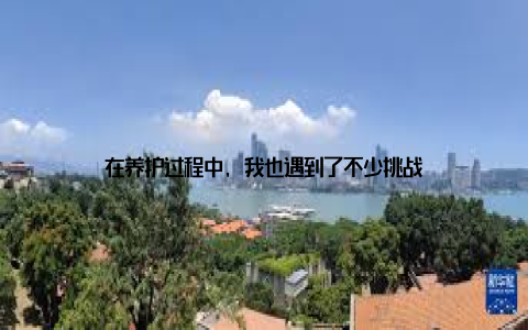 在养护过程中, 我也遇到了不少挑战