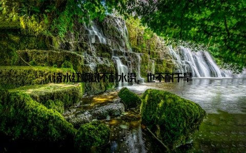 浇水红枫树不耐水涝, 也不耐干旱