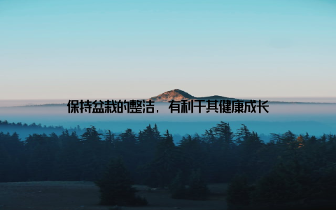 保持盆栽的整洁, 有利于其健康成长