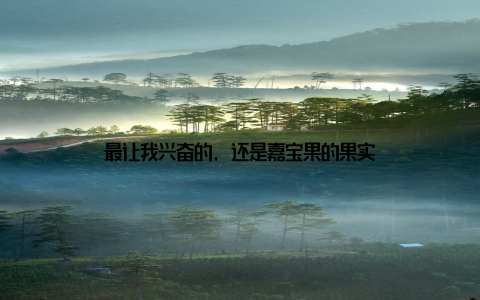最让我兴奋的, 还是嘉宝果的果实