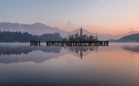 同时, 修剪后的植物造型更加美观