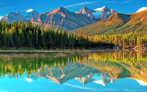 每天保证4-6小时的散射光即可