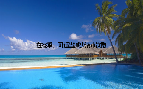 在冬季, 可适当减少浇水次数