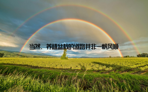 当然, 养植盆栽的道路并非一帆风顺