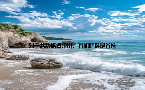对于盆栽榕树来说, 有机肥料是首选