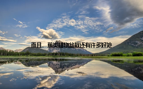 而且, 蕉类植物盆栽还有许多好处