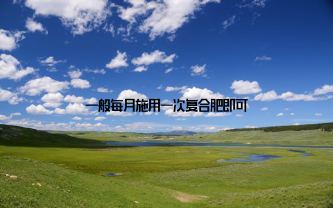 一般每月施用一次复合肥即可