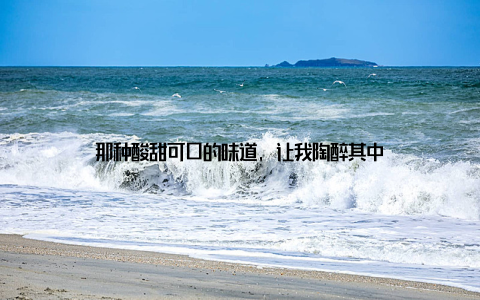 那种酸甜可口的味道, 让我陶醉其中