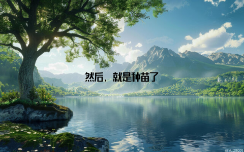 然后, 就是种苗了