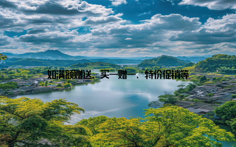 如满额赠送、买一赠一、特价促销等