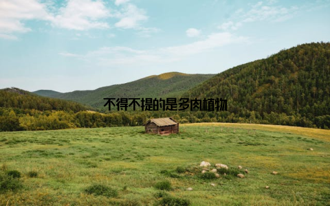 不得不提的是多肉植物