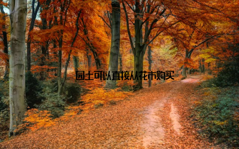 – 园土可以直接从花市购买