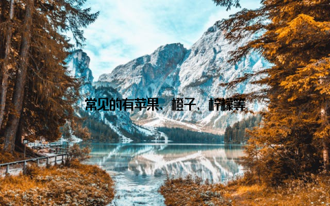 常见的有苹果、橙子、柠檬等