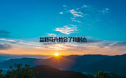 盆栽花卉教会了我耐心