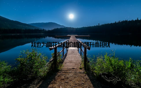 我也为梅花盆栽价格的飙升而担忧