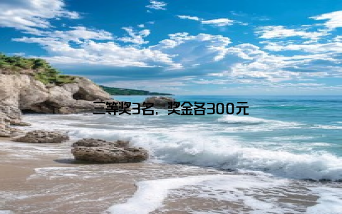三等奖3名, 奖金各300元