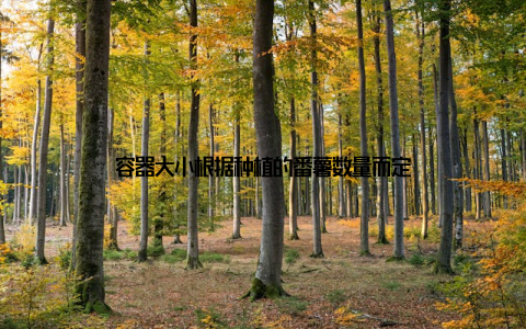 容器大小根据种植的番薯数量而定