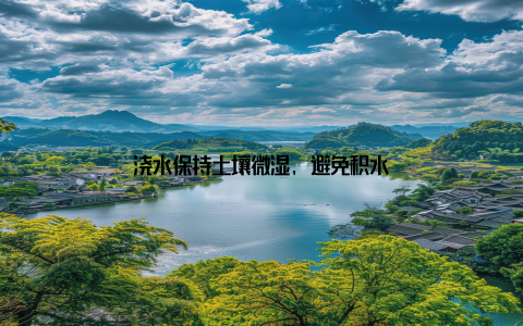 浇水保持土壤微湿, 避免积水