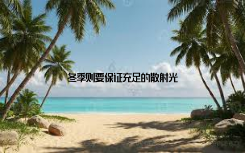 冬季则要保证充足的散射光
