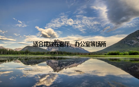 适合摆放在客厅、办公室等场所