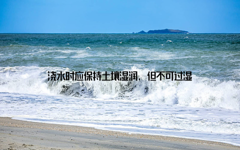 浇水时应保持土壤湿润, 但不可过湿
