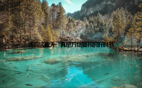 话说这春天, 真是万物复苏的好时节