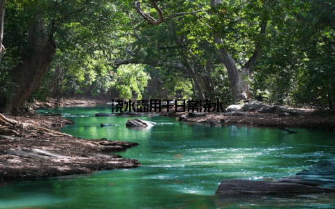 浇水壶用于日常浇水