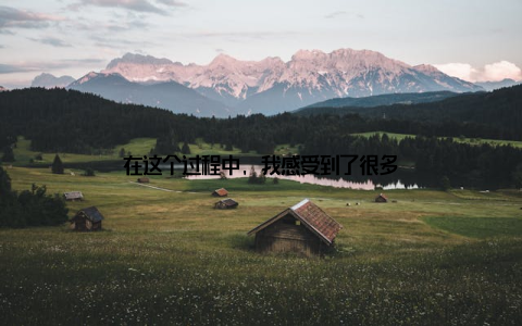 在这个过程中, 我感受到了很多