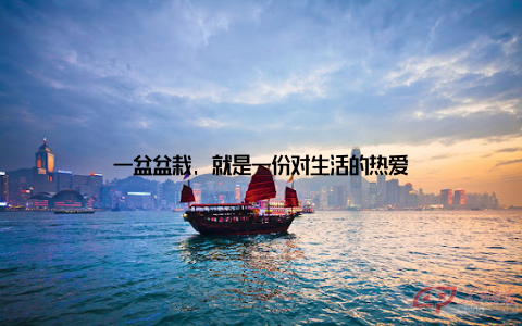 一盆盆栽, 就是一份对生活的热爱